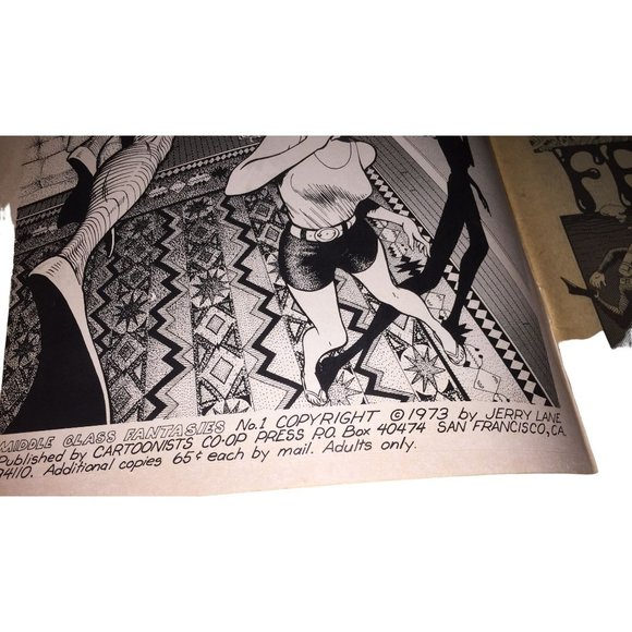Middle Class Fantasies Vintage Underground Comix Comic Book - 1973 Jerry Lane - Picture 4 of 16